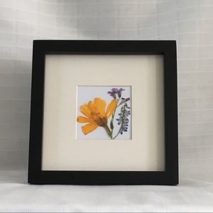 Pressed Natural Flowers Framed